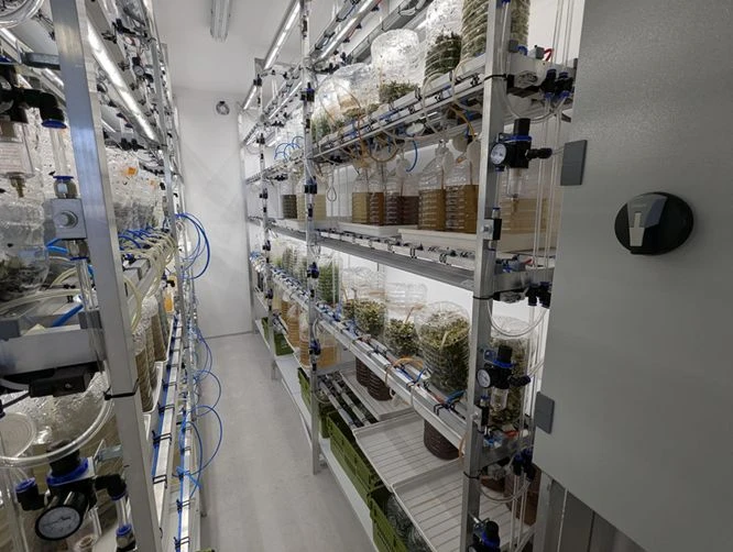 Bioreaktor VITROFLORA