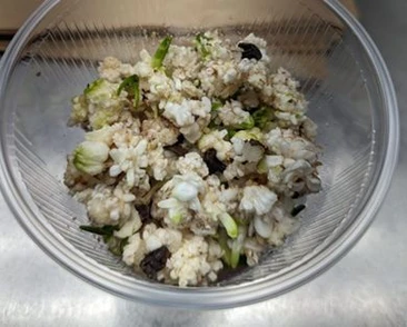 Produkcja zarodków somatycznych w bioreaktorach