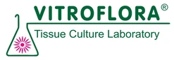 Logo Vitroflora